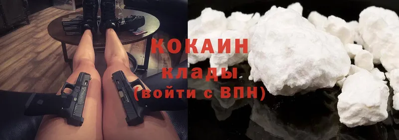 Cocaine Fish Scale  как найти закладки  Курск 